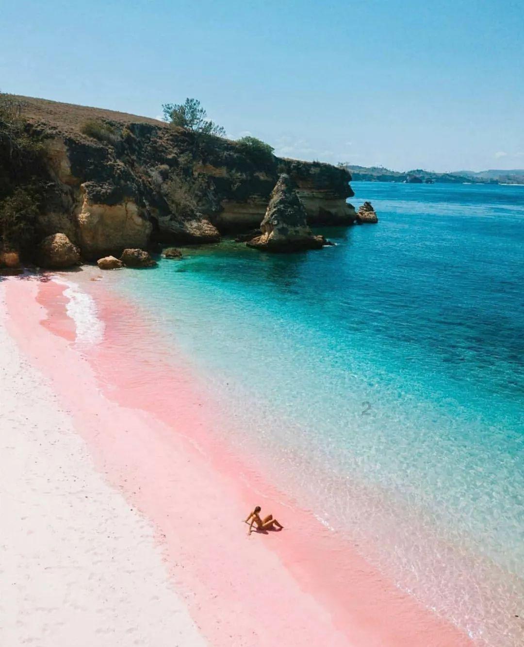 爱旅行的芭比